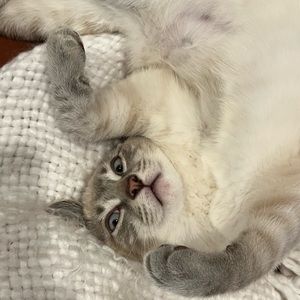 Meet your Posher, Madeline